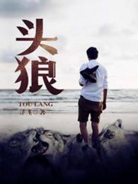 头狼陈姝含是啥身份