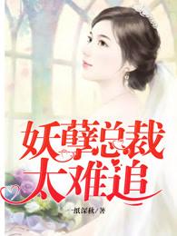 妖孽总裁要上天完整版