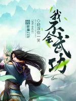 我不会武功 1