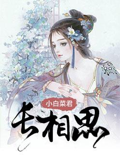 长相思古诗纳兰性德