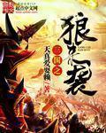 三国之狼战天下 大将