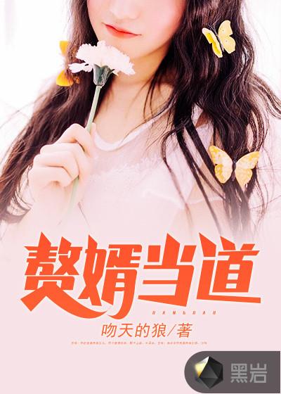 上门赘婿岳风的
