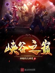峡谷之巅怎么登不上去