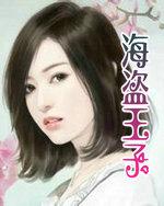 海盗王子动画片