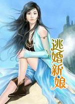 逃婚新娘遇到逃婚新郎电视剧