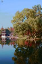 沉醉不醒 全文 番外