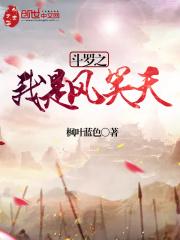 穿越斗罗之我是风笑天