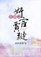 红楼贾琏翻身路正版