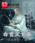 白首太玄经武功