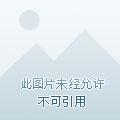 穿越从西游开始打卡上班免费阅读