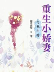 司先生的小甜妻