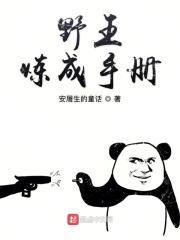 野王的修炼手册