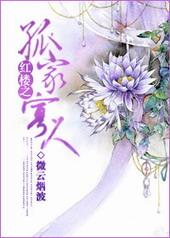 红楼之贾家庶子