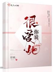 你说很爱我什么歌