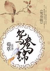 鸳鸯锦电视剧