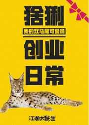 猞猁创业日常免费阅读
