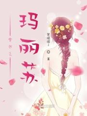 穿书玛丽苏宠文