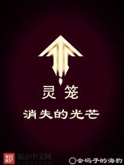 灵笼的光影教会