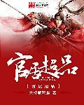 官居一品全文阅读完本