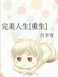完美人生重生叶青