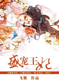 盛宠王妃 飞翼