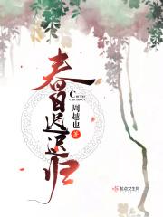 春日迟迟归综艺