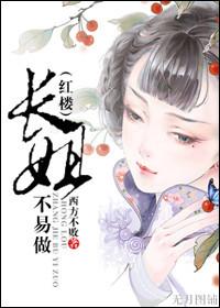 长姐不易做txt