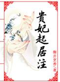 贵妃起居注笔趣阁
