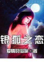 银狐07