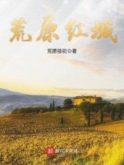 荒原古城