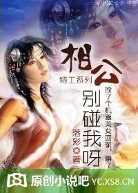 相公别装傻书包网手机版
