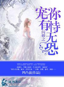 闪婚之宠妻无限