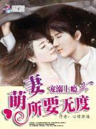 宠爱成瘾之萌妻不好惹