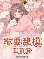 摸着毛茸茸的布料