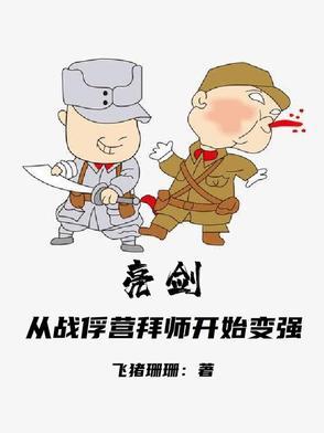 丛亮剑开始