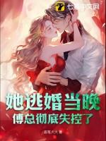 逃婚甜妻傅总的掌中宝