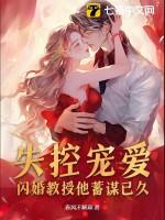 教授闪婚