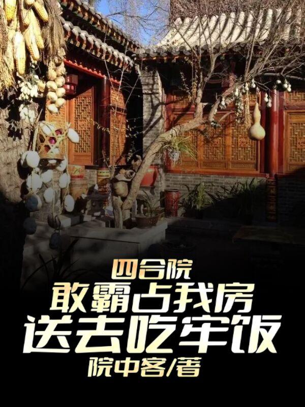 四合院 一进