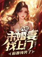 主角有九个未婚妻