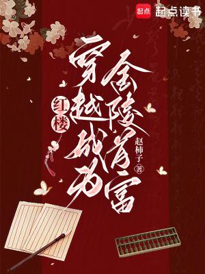 穿越红楼 玩金钗