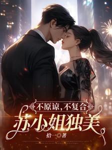 不原谅不复合苏小姐独美笔趣阁