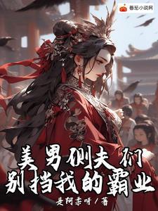 妻主完结
