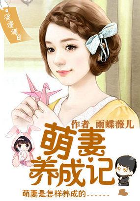 浪漫满厨电视剧剧情介绍