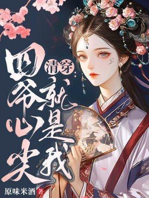 清穿之四爷心尖宠温馨