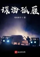 译制片谍海孤魂