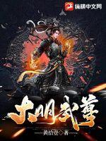 大明大明武夫