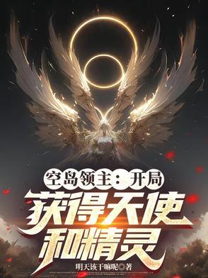 空岛大领主txt