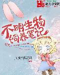 不明生物0.3汉化