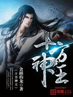 十方神王境界