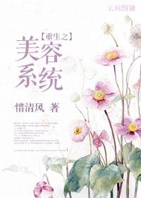 有美容系统的
